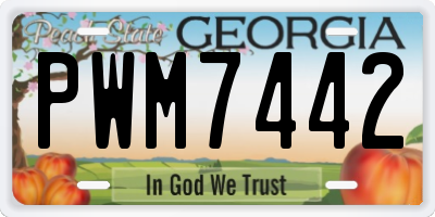 GA license plate PWM7442