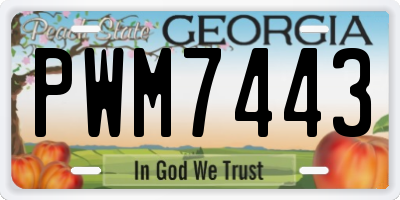GA license plate PWM7443