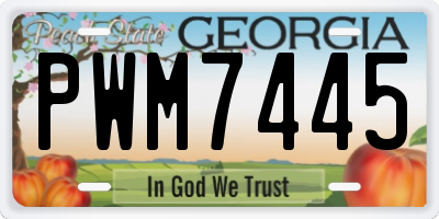 GA license plate PWM7445
