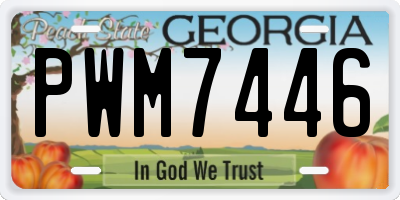 GA license plate PWM7446