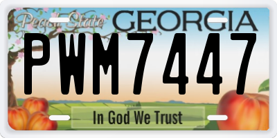 GA license plate PWM7447
