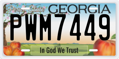 GA license plate PWM7449