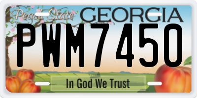 GA license plate PWM7450