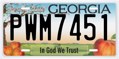 GA license plate PWM7451