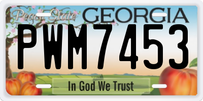 GA license plate PWM7453