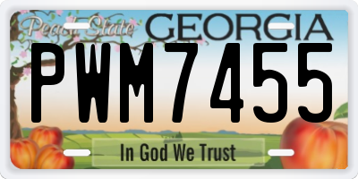 GA license plate PWM7455