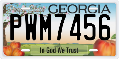 GA license plate PWM7456