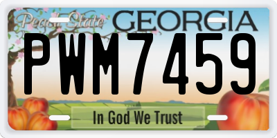 GA license plate PWM7459