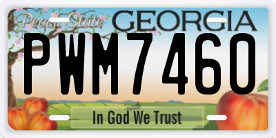 GA license plate PWM7460