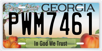GA license plate PWM7461