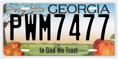 GA license plate PWM7477