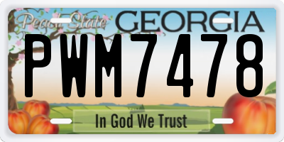 GA license plate PWM7478