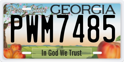 GA license plate PWM7485