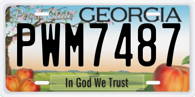 GA license plate PWM7487