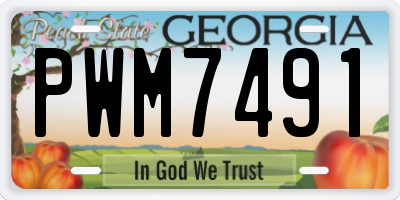 GA license plate PWM7491