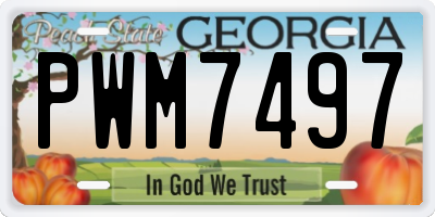 GA license plate PWM7497