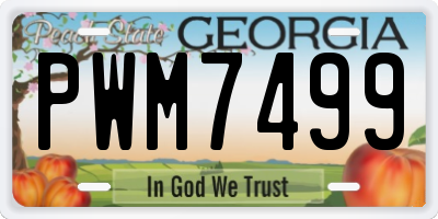 GA license plate PWM7499
