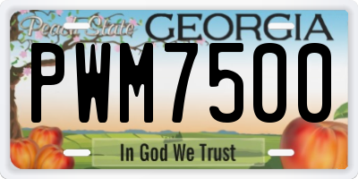 GA license plate PWM7500