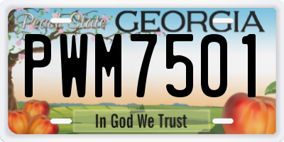 GA license plate PWM7501