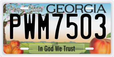 GA license plate PWM7503