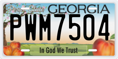 GA license plate PWM7504
