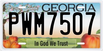GA license plate PWM7507