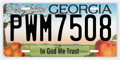 GA license plate PWM7508