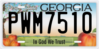 GA license plate PWM7510