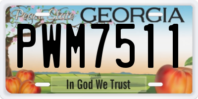 GA license plate PWM7511