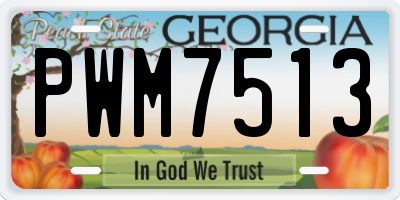 GA license plate PWM7513