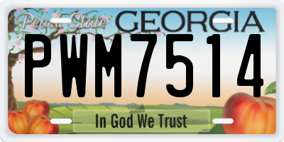 GA license plate PWM7514