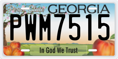 GA license plate PWM7515