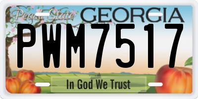 GA license plate PWM7517