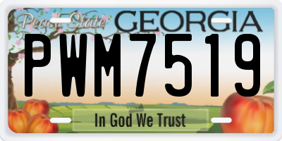 GA license plate PWM7519