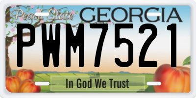 GA license plate PWM7521