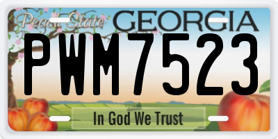 GA license plate PWM7523