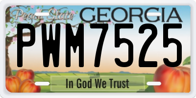 GA license plate PWM7525
