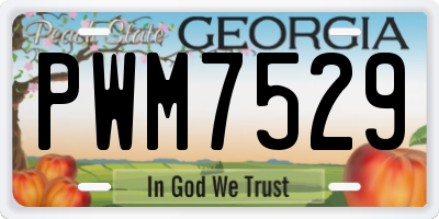 GA license plate PWM7529