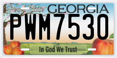 GA license plate PWM7530