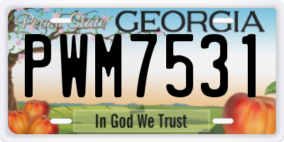 GA license plate PWM7531