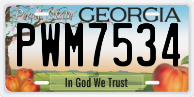 GA license plate PWM7534