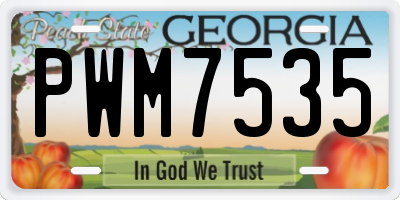 GA license plate PWM7535