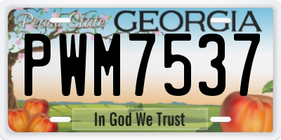 GA license plate PWM7537