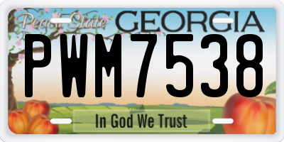 GA license plate PWM7538
