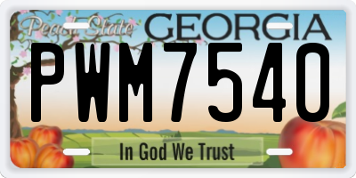 GA license plate PWM7540