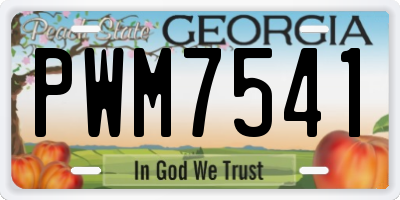 GA license plate PWM7541