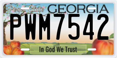 GA license plate PWM7542