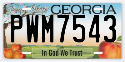 GA license plate PWM7543
