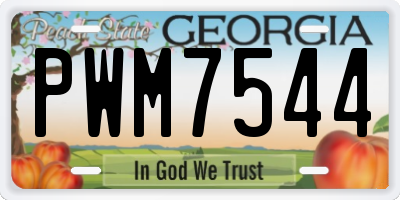 GA license plate PWM7544