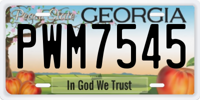 GA license plate PWM7545